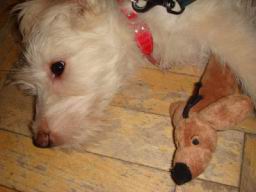 Resize of DSC08333.JPG